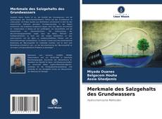 Couverture de Merkmale des Salzgehalts des Grundwassers