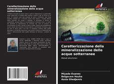 Caratterizzazione della mineralizzazione delle acque sotterranee的封面