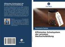 Copertina di Effizientes Schulsystem der privaten Hochschulbildung