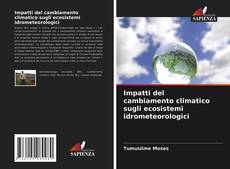 Impatti del cambiamento climatico sugli ecosistemi idrometeorologici kitap kapağı