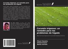 Copertina di Cucumis trigonus: un remedio para los problemas de hígado