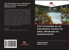 ÉTAT ÉCOLOGIQUE DU LAC PODVORNOYE, DISTRICT DE BIRSK, RÉPUBLIQUE DU BASHKORTOSTAN的封面