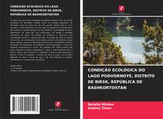 Bookcover of CONDIÇÃO ECOLÓGICA DO LAGO PODVORNOYE, DISTRITO DE BIRSK, REPÚBLICA DE BASHKORTOSTAN