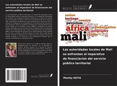 Couverture de Las autoridades locales de Malí se enfrentan al imperativo de financiación del servicio público territorial
