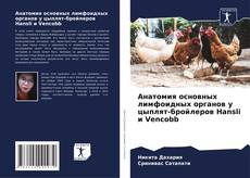 Bookcover of Анатомия основных лимфоидных органов у цыплят-бройлеров Hansli и Vencobb