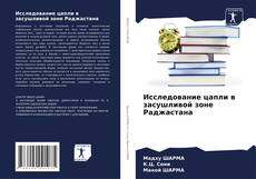 Bookcover of Исследование цапли в засушливой зоне Раджастана