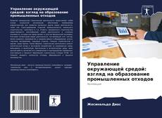 Bookcover of Управление окружающей средой: взгляд на образование промышленных отходов