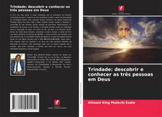 Bookcover of Trindade: descobrir e conhecer as três pessoas em Deus