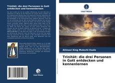 Trinität: die drei Personen in Gott entdecken und kennenlernen kitap kapağı