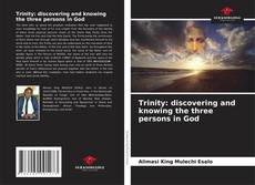 Trinity: discovering and knowing the three persons in God的封面