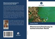 Meeresverschmutzung im kamerunischen Recht kitap kapağı