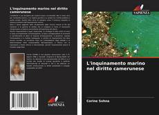 L'inquinamento marino nel diritto camerunese的封面