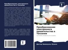Обложка Преобразование электронного правительства в Танзании