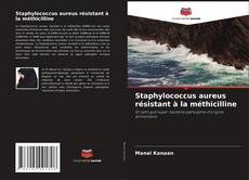 Staphylococcus aureus résistant à la méthicilline的封面