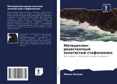 Bookcover of Метициллин-резистентный золотистый стафилококк