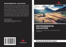 ENVIRONMENTAL VALUATION的封面