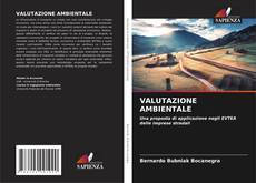 Copertina di VALUTAZIONE AMBIENTALE