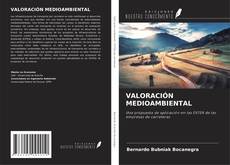 Copertina di VALORACIÓN MEDIOAMBIENTAL
