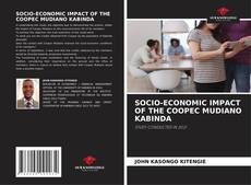 SOCIO-ECONOMIC IMPACT OF THE COOPEC MUDIANO KABINDA的封面