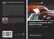 Copertina di Análisis y evaluación de la banca en línea