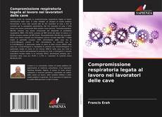 Copertina di Compromissione respiratoria legata al lavoro nei lavoratori delle cave