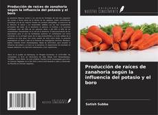Copertina di Producción de raíces de zanahoria según la influencia del potasio y el boro