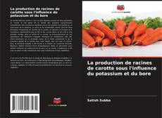 La production de racines de carotte sous l'influence du potassium et du bore kitap kapağı