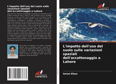 Copertina di L'impatto dell'uso del suolo sulle variazioni spaziali dell'accattonaggio a Lahore