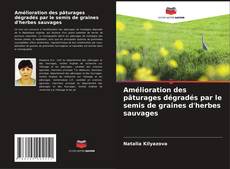Amélioration des pâturages dégradés par le semis de graines d'herbes sauvages的封面