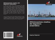 Ottimizzazione cinetica del digestore anaerobico的封面