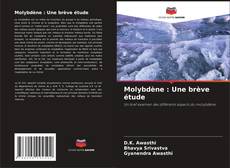 Molybdène : Une brève étude的封面
