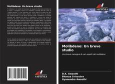 Molibdeno: Un breve studio的封面