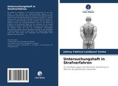 Capa do livro de Untersuchungshaft in Strafverfahren 