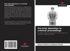 Pre-trial detention in criminal proceedings的封面