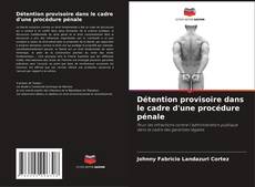 Copertina di Détention provisoire dans le cadre d'une procédure pénale