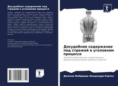 Bookcover of Досудебное содержание под стражей в уголовном процессе