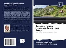 Bookcover of Оползни уступа Мараквет Восточный Лагам