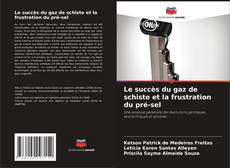 Bookcover of Le succès du gaz de schiste et la frustration du pré-sel