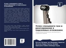 Bookcover of Успех сланцевого газа и разочарование в подсолевых отложениях