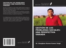 Copertina di GESTIÓN DE LOS PROBLEMAS SOCIALES: UNA PERSPECTIVA VARIADA