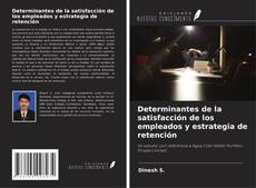 Copertina di Determinantes de la satisfacción de los empleados y estrategia de retención