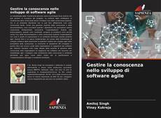 Gestire la conoscenza nello sviluppo di software agile的封面