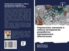 Couverture de Управление знаниями в гибкая методология разработки программного обеспечения