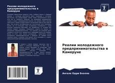 Portada del libro de Реалии молодежного предпринимательства в Камеруне