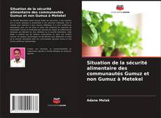 Обложка Situation de la sécurité alimentaire des communautés Gumuz et non Gumuz à Metekel