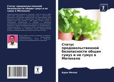 Couverture de Статус продовольственной безопасности общин гумуз и не гумуз в Метекеле