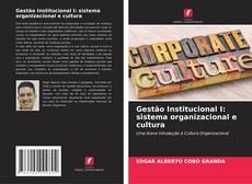 Copertina di Gestão Institucional I: sistema organizacional e cultura