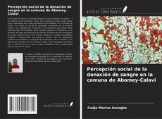 Обложка Percepción social de la donación de sangre en la comuna de Abomey-Calavi