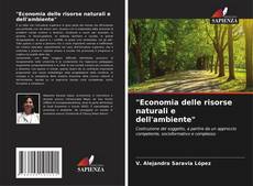 "Economia delle risorse naturali e dell'ambiente"的封面