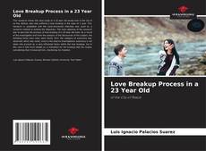 Love Breakup Process in a 23 Year Old的封面